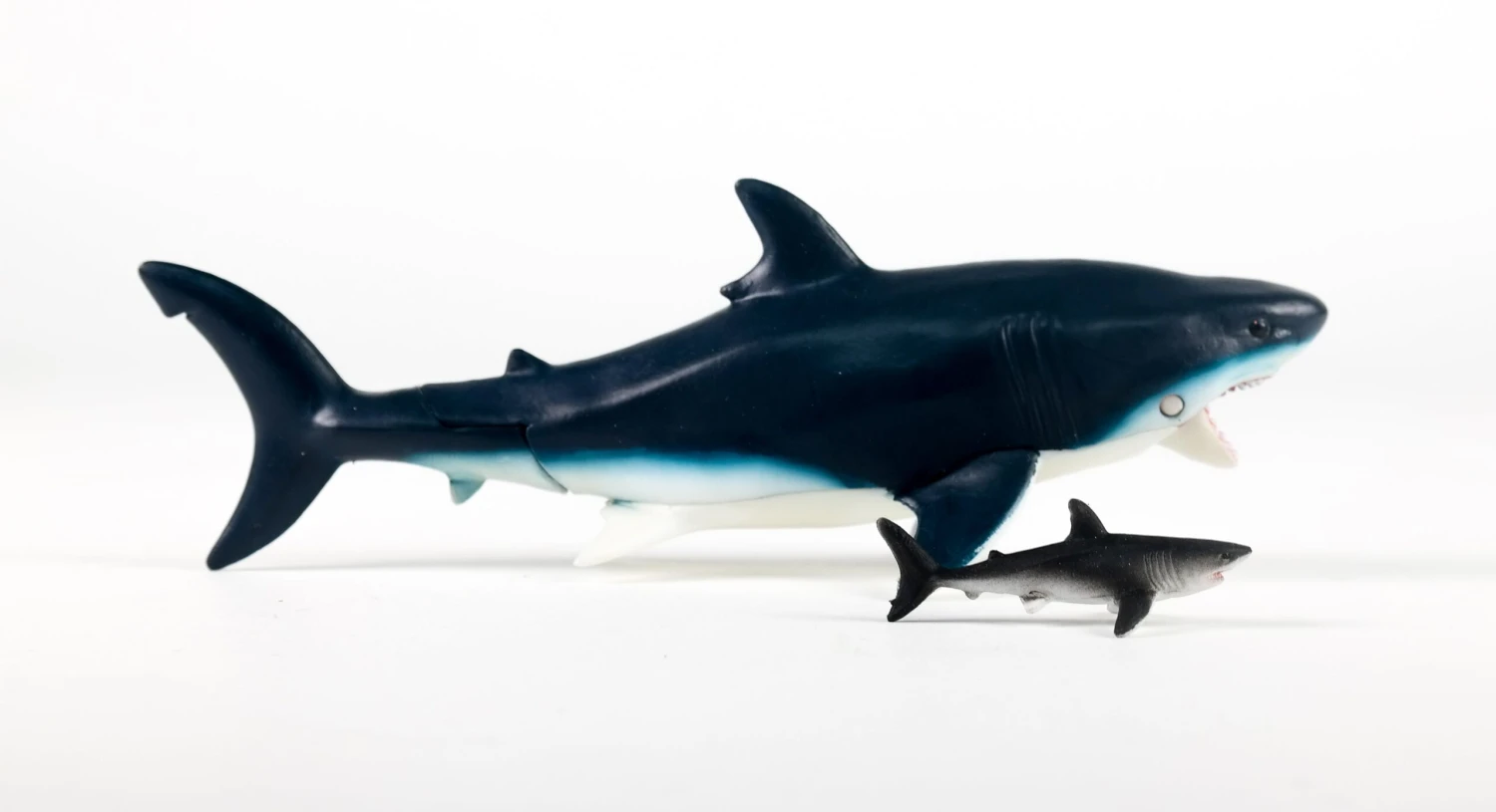 Ania AL-11 Megalodon (Floatable Ver) 4 Ania AL-11 Megalodon (Floatable Ver) - Image 2