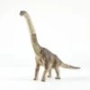 Ania Jurassic World Brachiosaurus -Toy Discount Store 175063 1