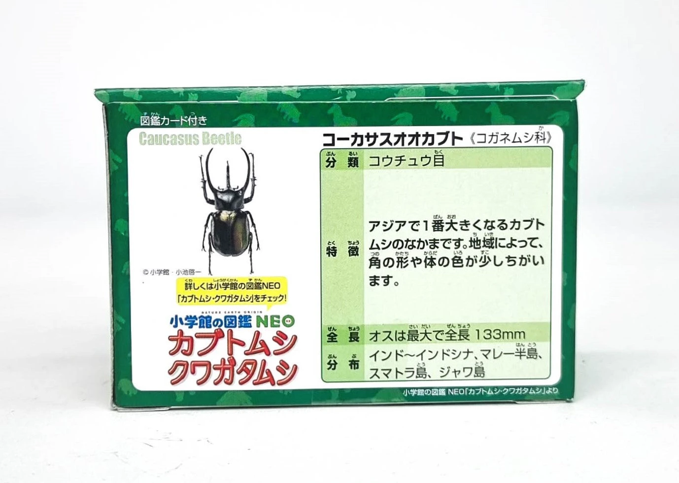 Ania AS-39 Caucasian Wolf 7 Ania AS-39 Caucasian Wolf - Image 5