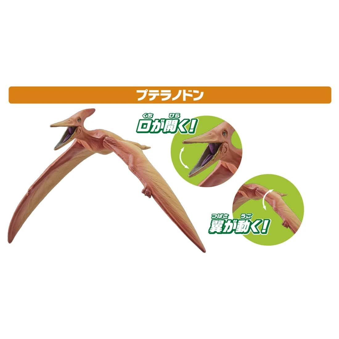 Ania AA-03 Land And Sky Dinosaur Set 6 Ania AA-03 Land And Sky Dinosaur Set - Image 4