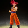SHF Super Saiyan God Son Goku Saiyan God Of Virute (God Of Instilled With The Light Of Righteous Hearts) -Toy Discount Store 66123 1 a4c72537 557c 4085 a13a ab3a5251ffdb