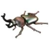 Ania AS-42 Rainbow Beetle -Toy Discount Store 908531 1 d9dc102b e2db 4547 8f87 f24bcc7aa6d5