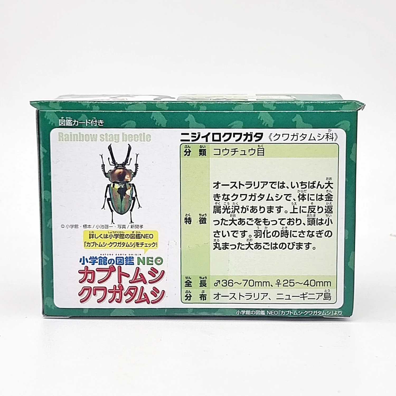 Ania AS-42 Rainbow Beetle 7 Ania AS-42 Rainbow Beetle - Image 5