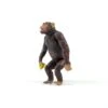 Ania AS-14 Chimpanzee (New) -Toy Discount Store 981497 ANIA AS 14 CHIMPANZEE NEW 4